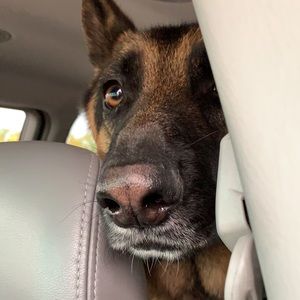 Meet your Posher, Christopher